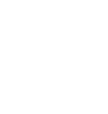IPM Flies