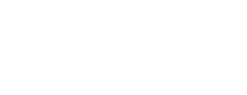 Pocket GOPHERS